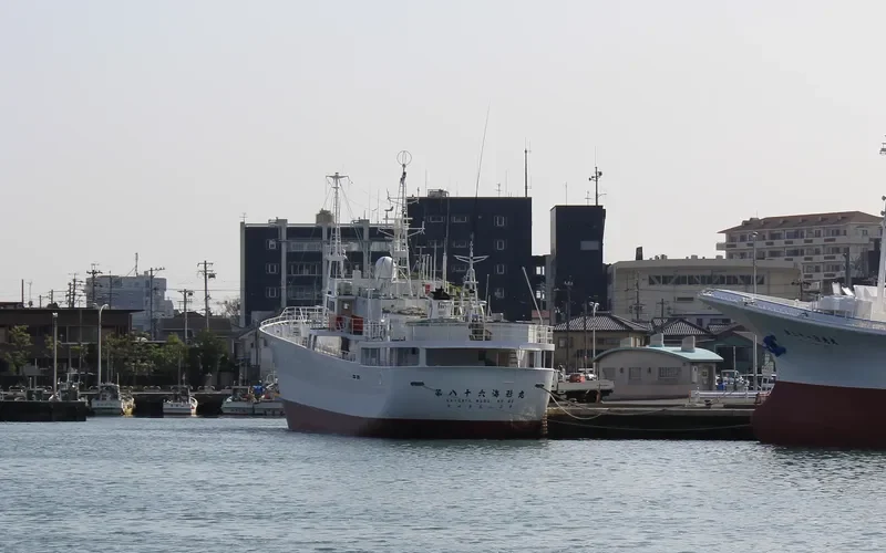 KAIGATA MARU NO.68 General Cargo IMO 9020510