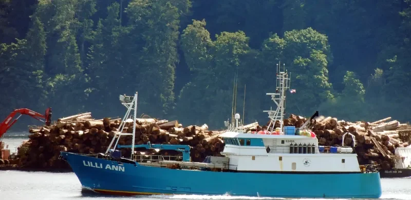 LILLI ANN General Cargo IMO 9020924 photo 2