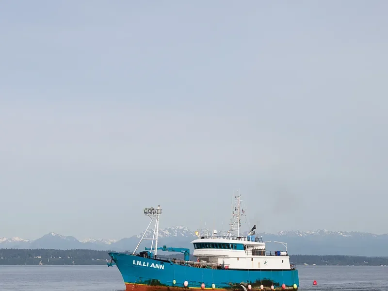 LILLI ANN General Cargo IMO 9020924 photo 4
