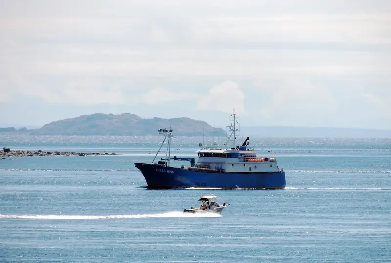LILLI ANN General Cargo IMO 9020924 photo 7