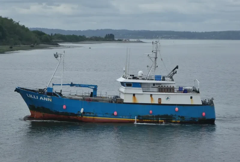 LILLI ANN General Cargo IMO 9020924 photo 10