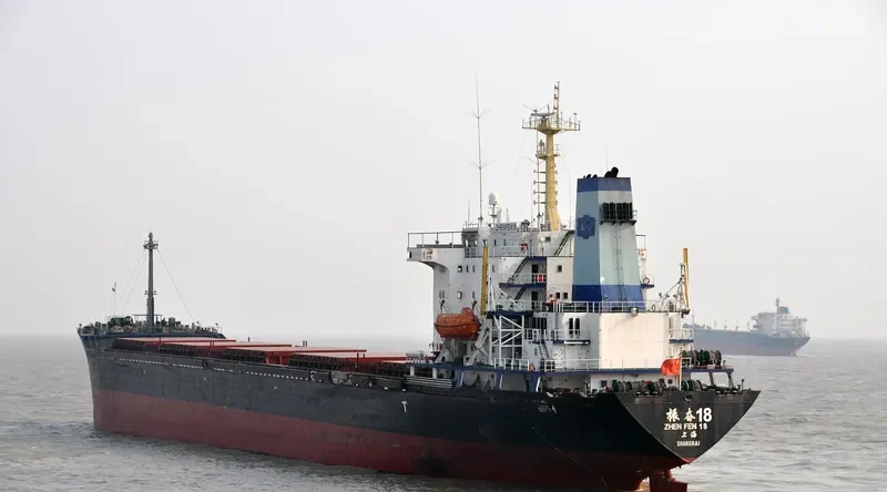 ZHEN FEN 18 Bulk Carrier IMO 9021552 photo 2