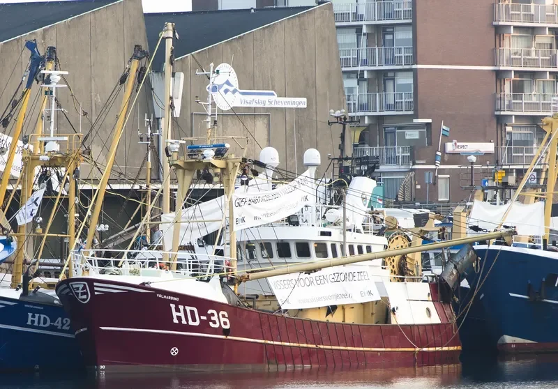 VOLHARDING General Cargo IMO 9021722 photo 5