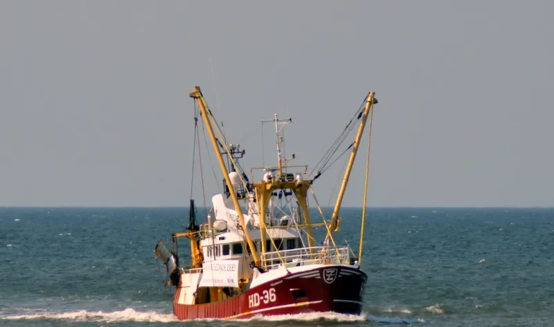 VOLHARDING General Cargo IMO 9021722 photo 9