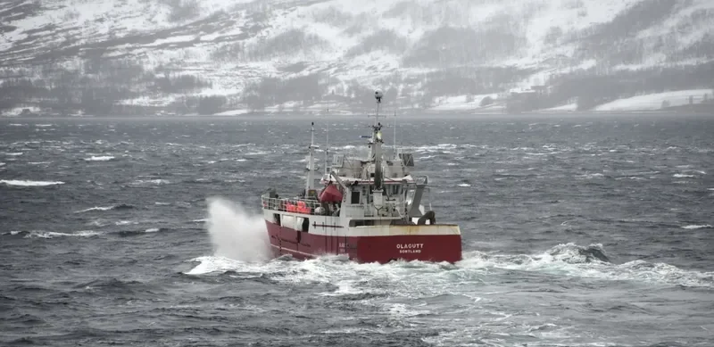 OLAGUTT General Cargo IMO 9025883 photo 10