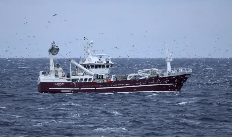 SJOHAV General Cargo IMO 9025895 photo 7