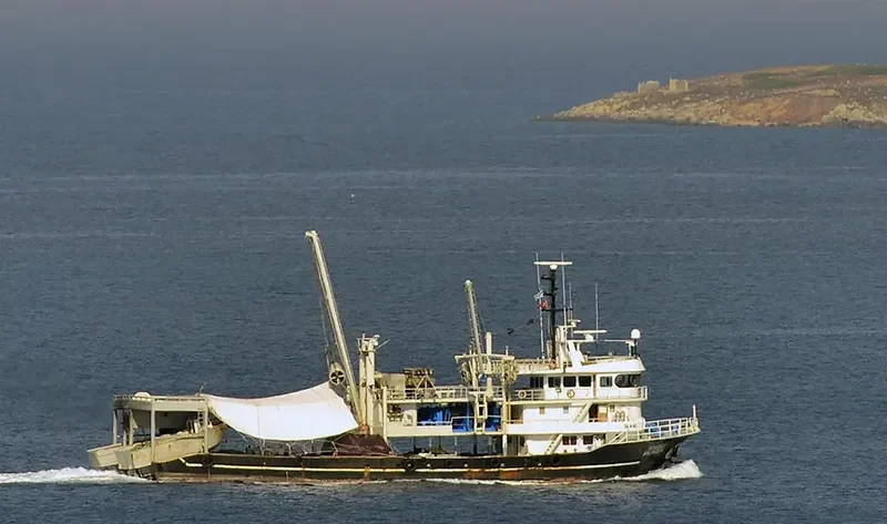 AKGUN BALIKCILIK 3 General Cargo IMO 9026459