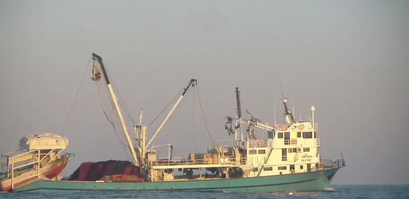 MAMATILER General Cargo IMO 9027374
