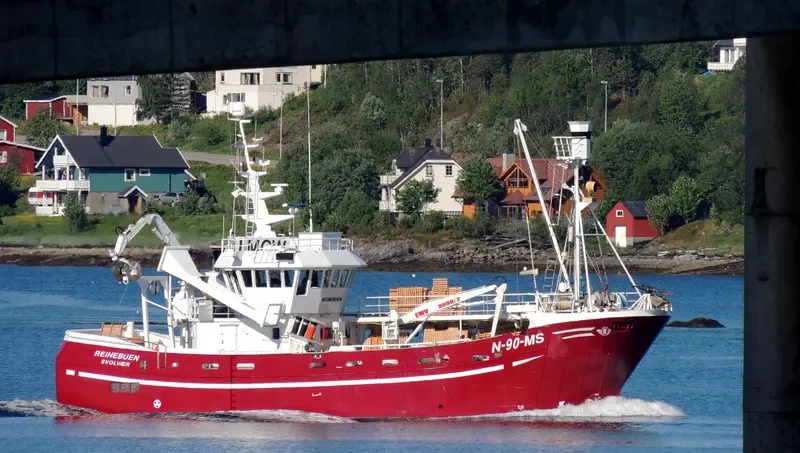 REINEBUEN General Cargo IMO 9028471 photo 8