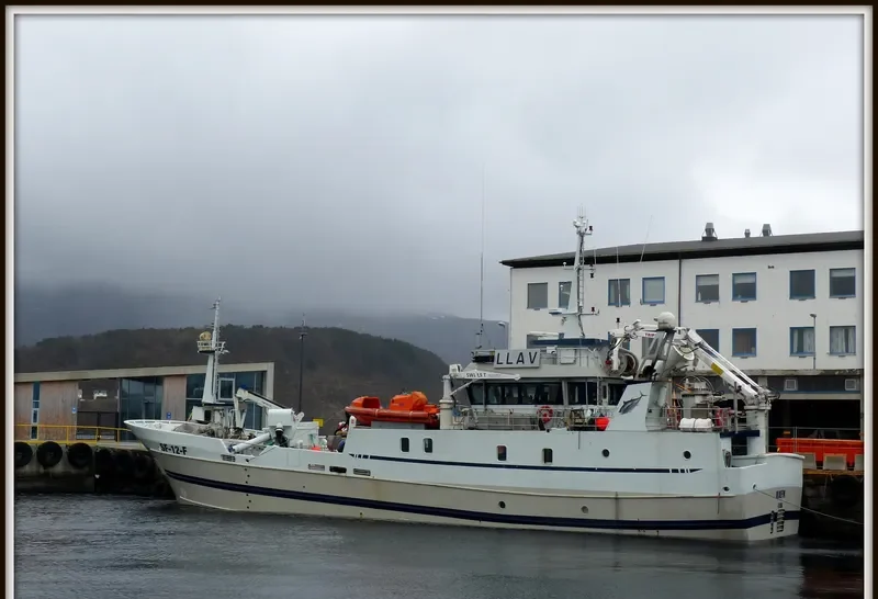 BLUEFIN General Cargo IMO 9028603 photo 2