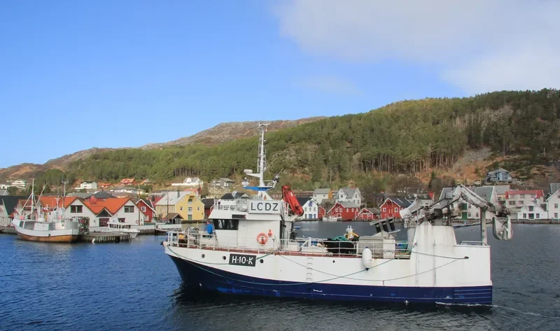 VIKAFJORD General Cargo IMO 9028641 photo 9