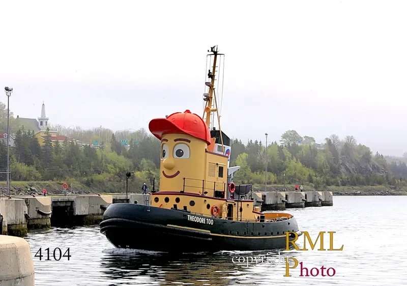 THEODORE II General Cargo IMO 9029774 photo 2