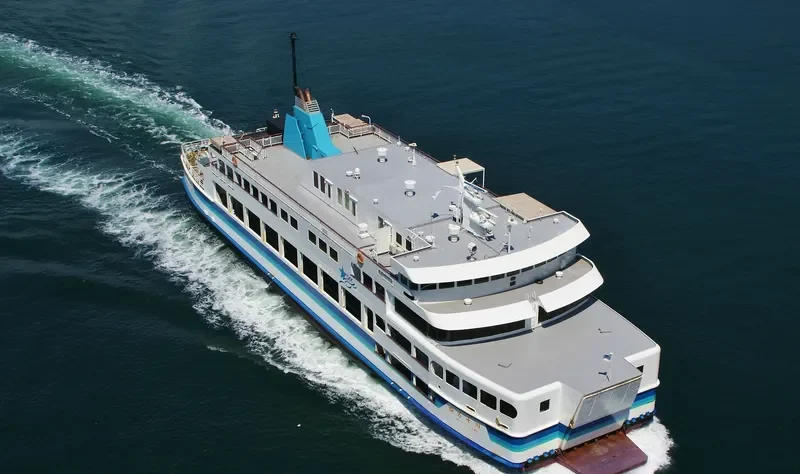 LADY OF GOOD HEALTH Ro-Ro IMO 9030199 photo 7