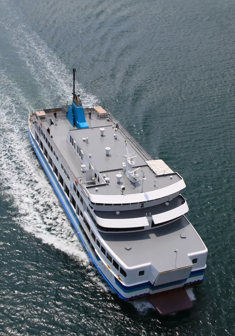 LADY OF GOOD HEALTH Ro-Ro IMO 9030199 photo 8