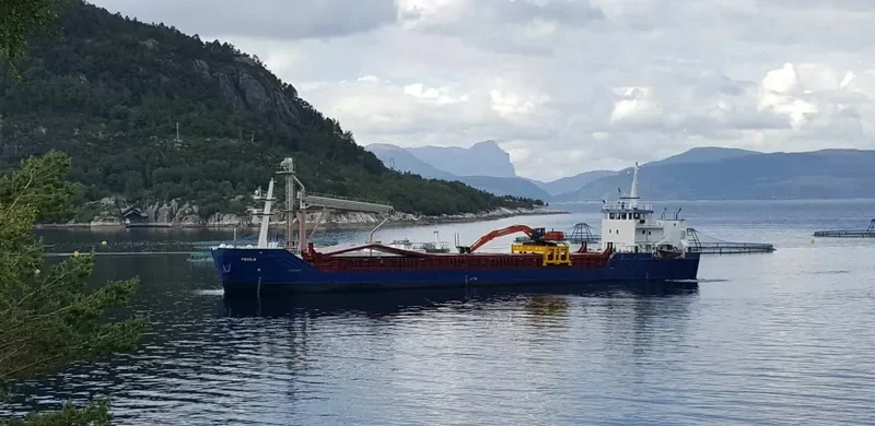 PIRHOLM General Cargo IMO 9030515 photo 5