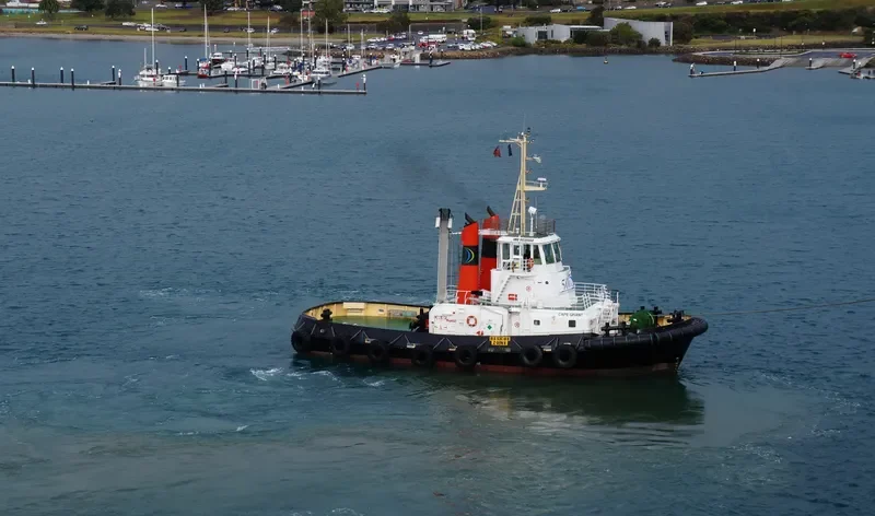 CAPE GRANT General Cargo IMO 9030668 photo 8
