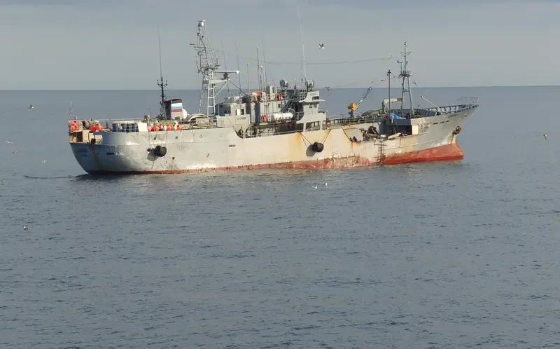ADONIS General Cargo IMO 9031002 photo 6