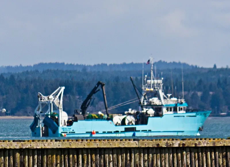ARCTIC FURY General Cargo IMO 9031325 photo 7