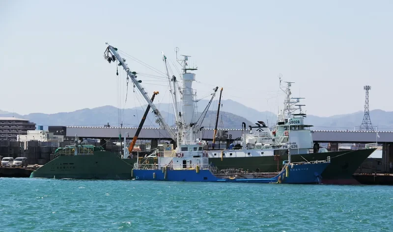 TOKIWA MARU NO.18 General Cargo IMO 9031923 photo 3
