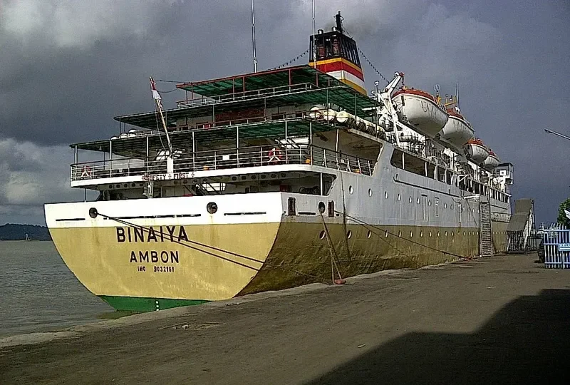BINAIYA Passenger Ship IMO 9032161 photo 3