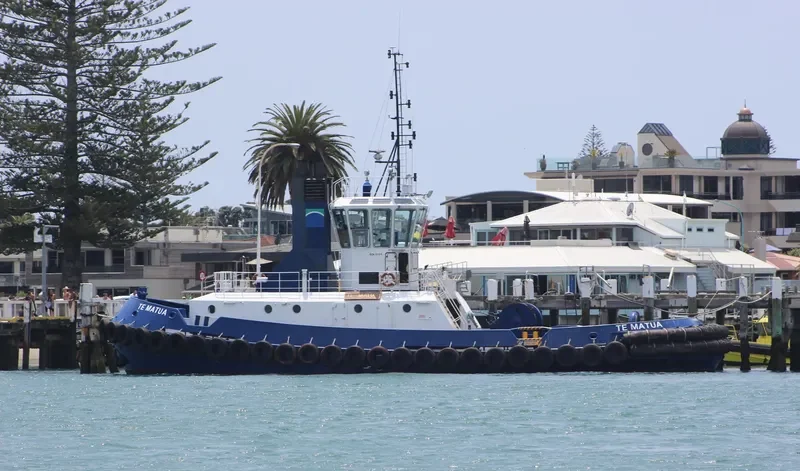 TE MATUA General Cargo IMO 9032460 photo 2