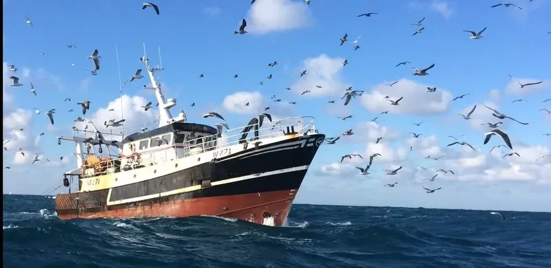 ALMA AMY General Cargo IMO 9032501 photo 3