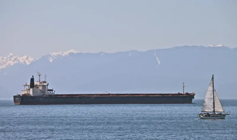COLLONGES Bulk Carrier IMO 9032551 photo 6