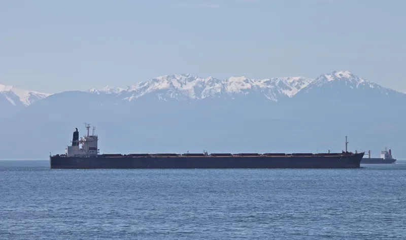 COLLONGES Bulk Carrier IMO 9032551 photo 8