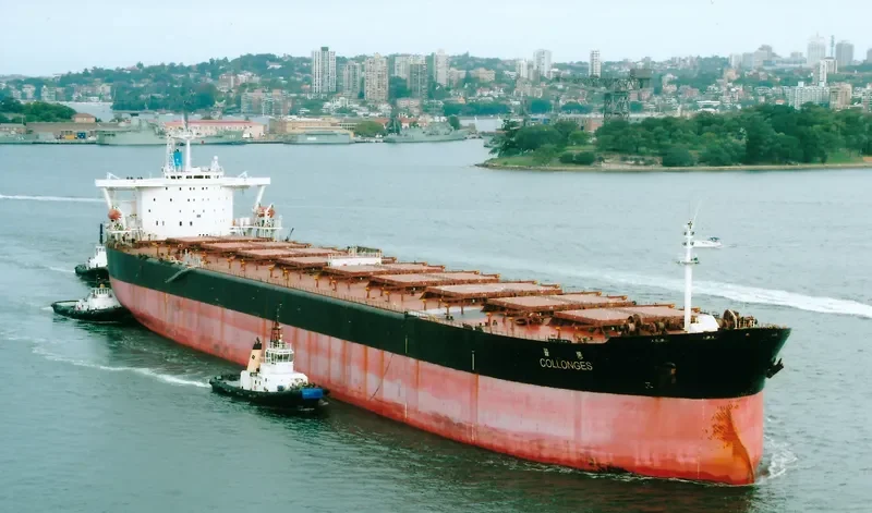 COLLONGES Bulk Carrier IMO 9032551 photo 10