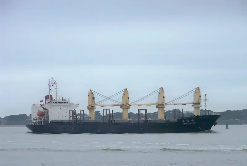 XIN XIANG AN Bulk Carrier IMO 9032692 photo 5