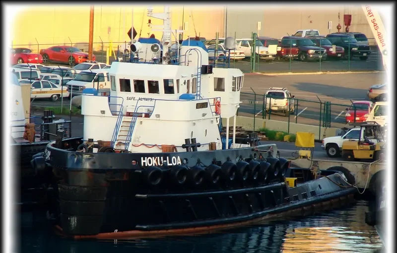 HOKU LOA General Cargo IMO 9032795 photo 6