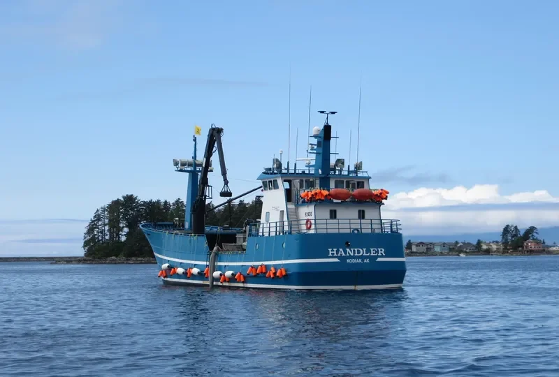 HANDLER General Cargo IMO 9032812 photo 5
