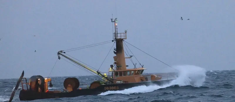 MORUE General Cargo IMO 9032862