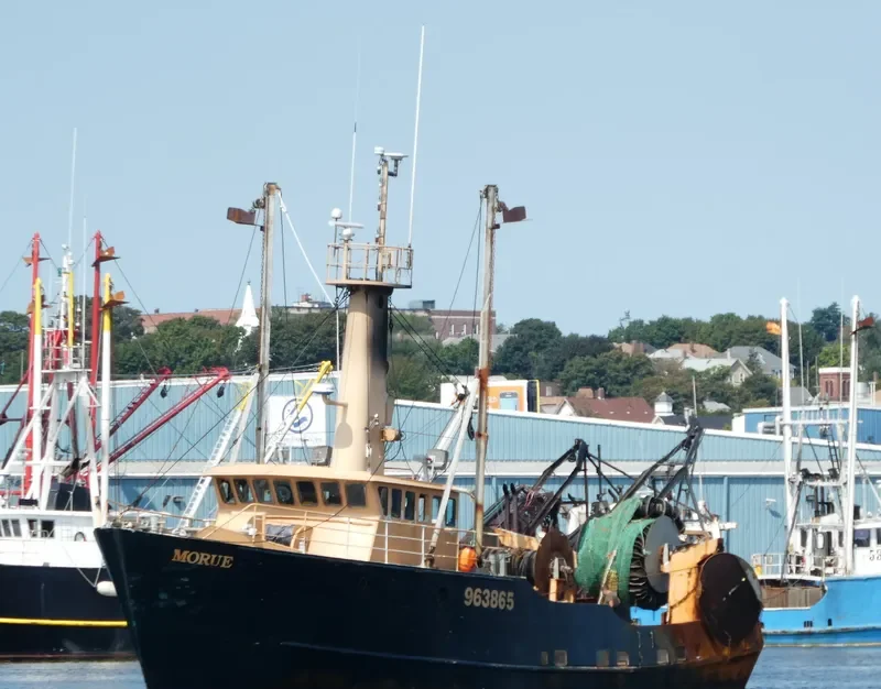 MORUE General Cargo IMO 9032862 photo 5