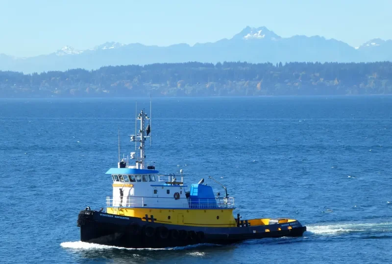 WESTERN NAVIGATOR General Cargo IMO 9032953 photo 3