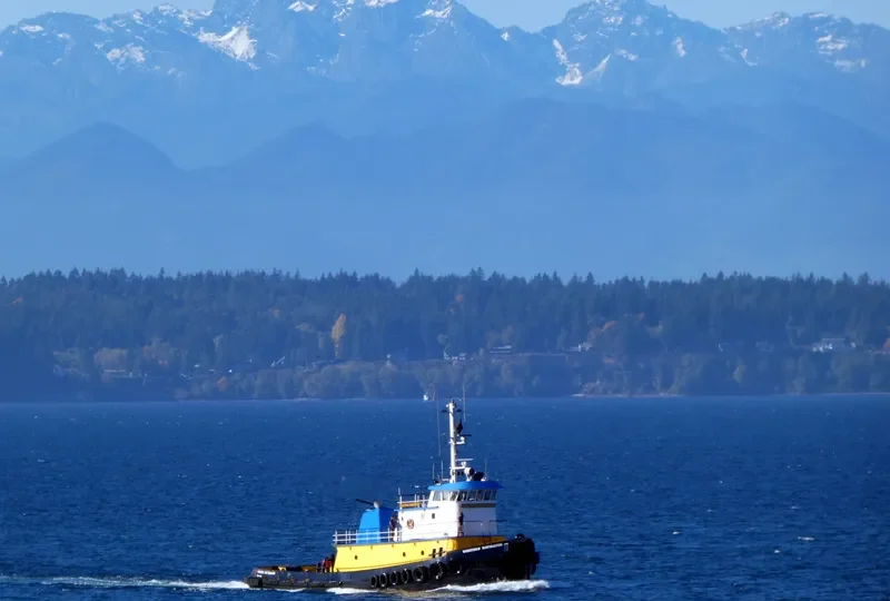 WESTERN NAVIGATOR General Cargo IMO 9032953 photo 4
