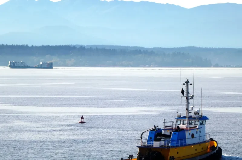 WESTERN NAVIGATOR General Cargo IMO 9032953 photo 5