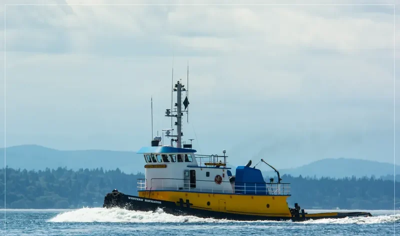 WESTERN NAVIGATOR General Cargo IMO 9032953 photo 8