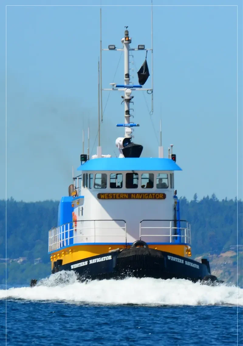 WESTERN NAVIGATOR General Cargo IMO 9032953 photo 10