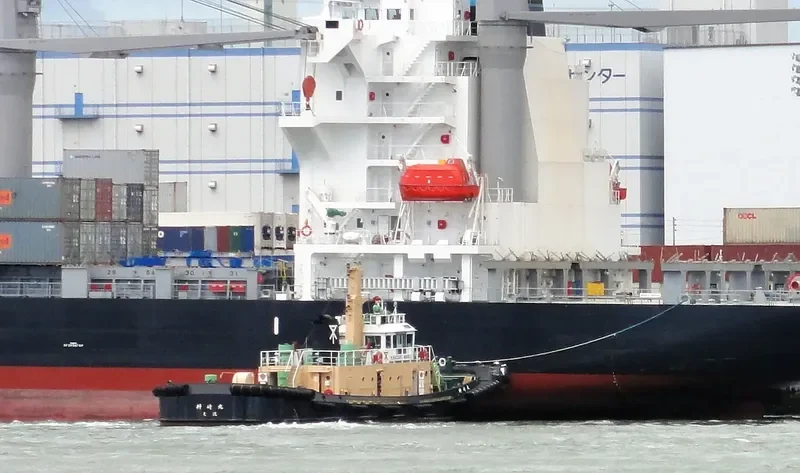 NEW DECENT II General Cargo IMO 9033127