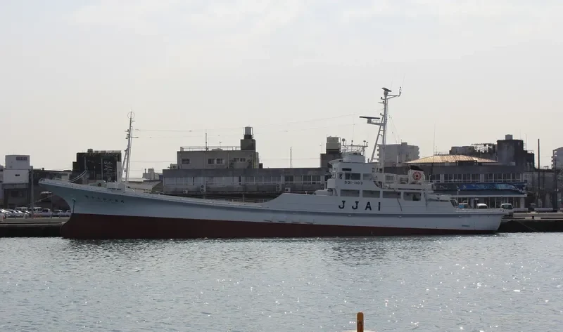 HINODE MARU NO.18 General Cargo IMO 9033294