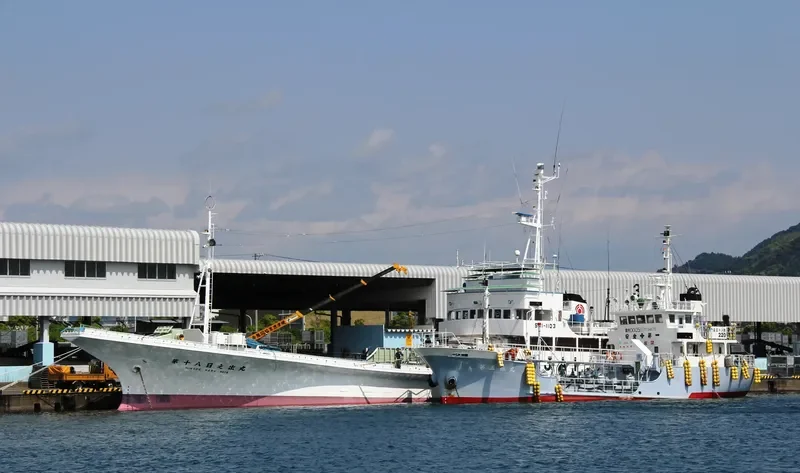 HINODE MARU NO.18 General Cargo IMO 9033294 photo 3