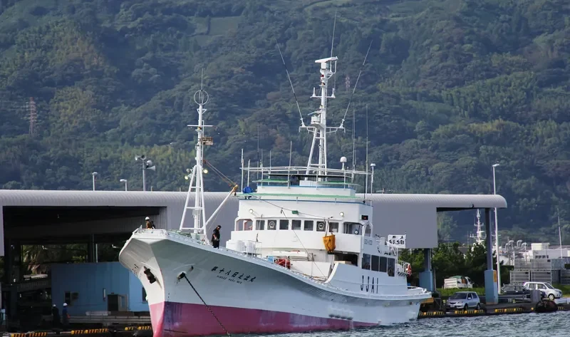 HINODE MARU NO.18 General Cargo IMO 9033294 photo 4