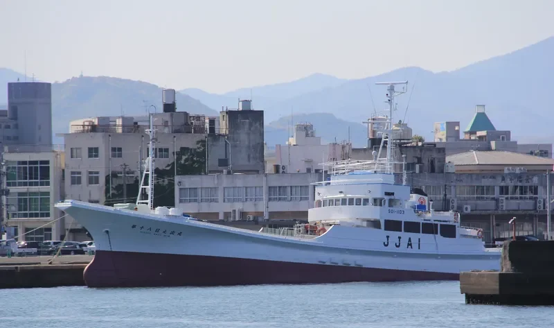 HINODE MARU NO.18 General Cargo IMO 9033294 photo 10