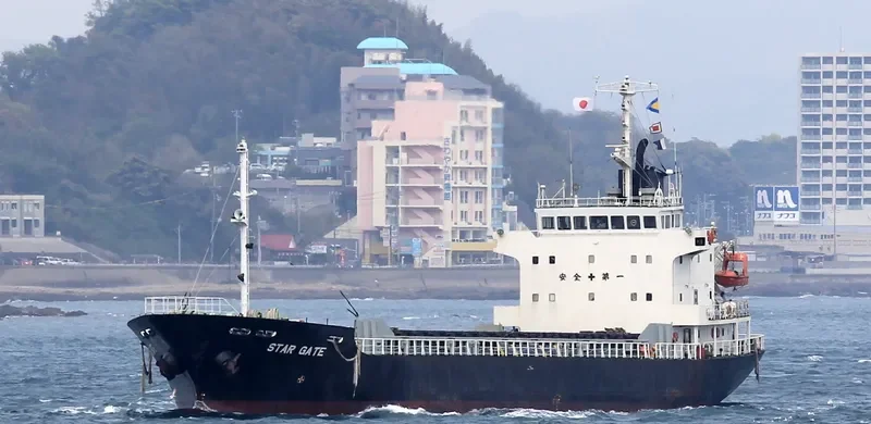 STAR GATE Bulk Carrier IMO 9033373 photo 3