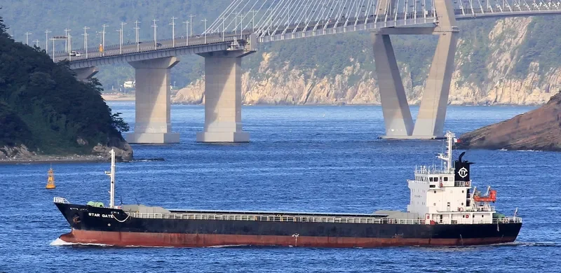 STAR GATE Bulk Carrier IMO 9033373 photo 5