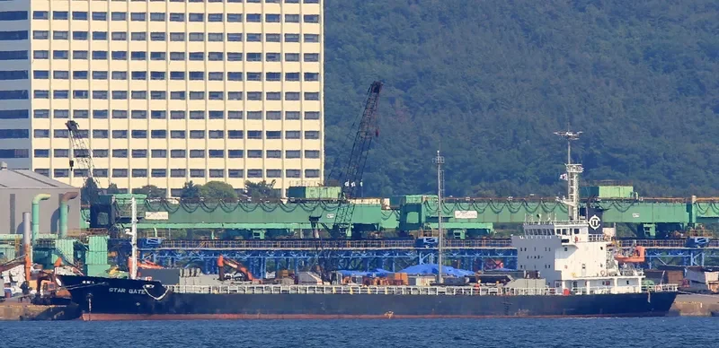 STAR GATE Bulk Carrier IMO 9033373 photo 6