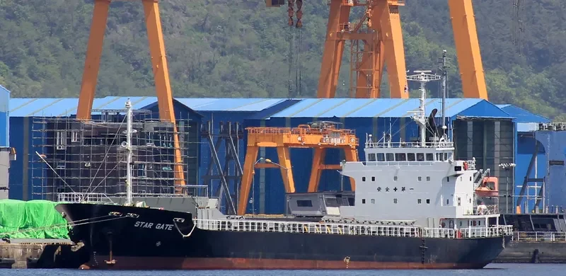 STAR GATE Bulk Carrier IMO 9033373 photo 7