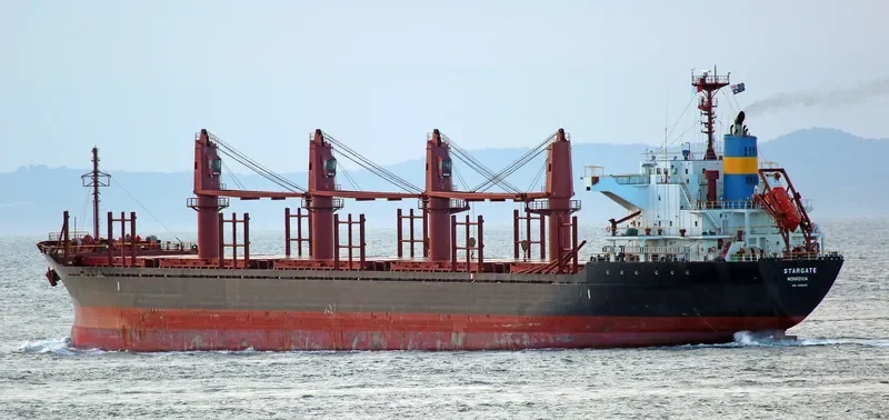 STAR GATE Bulk Carrier IMO 9033373 photo 8