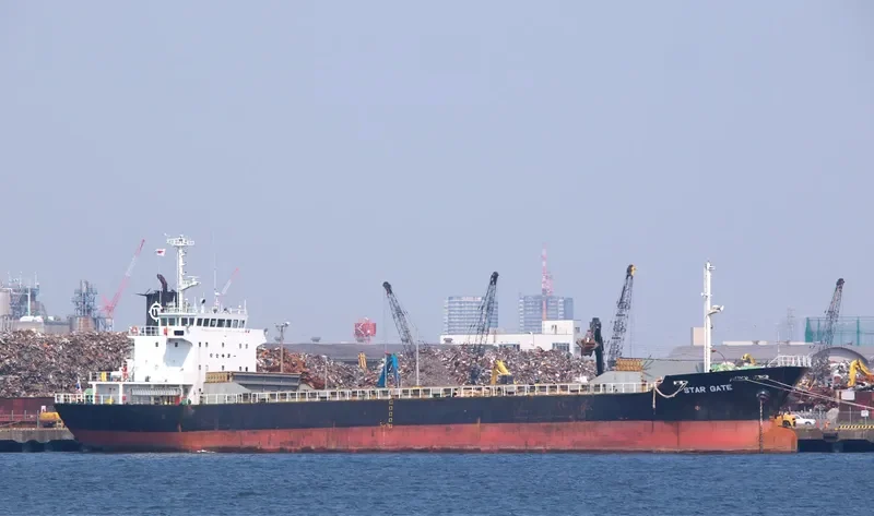 STAR GATE Bulk Carrier IMO 9033373 photo 10